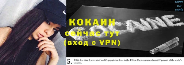 твердый Балахна