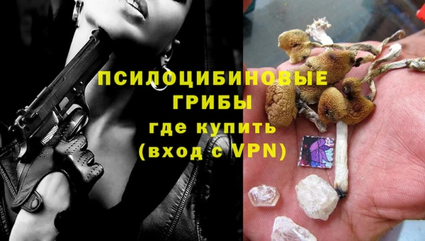 твердый Балахна