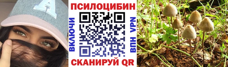 купить наркотики цена  Великие Луки  Галлюциногенные грибы мухоморы 